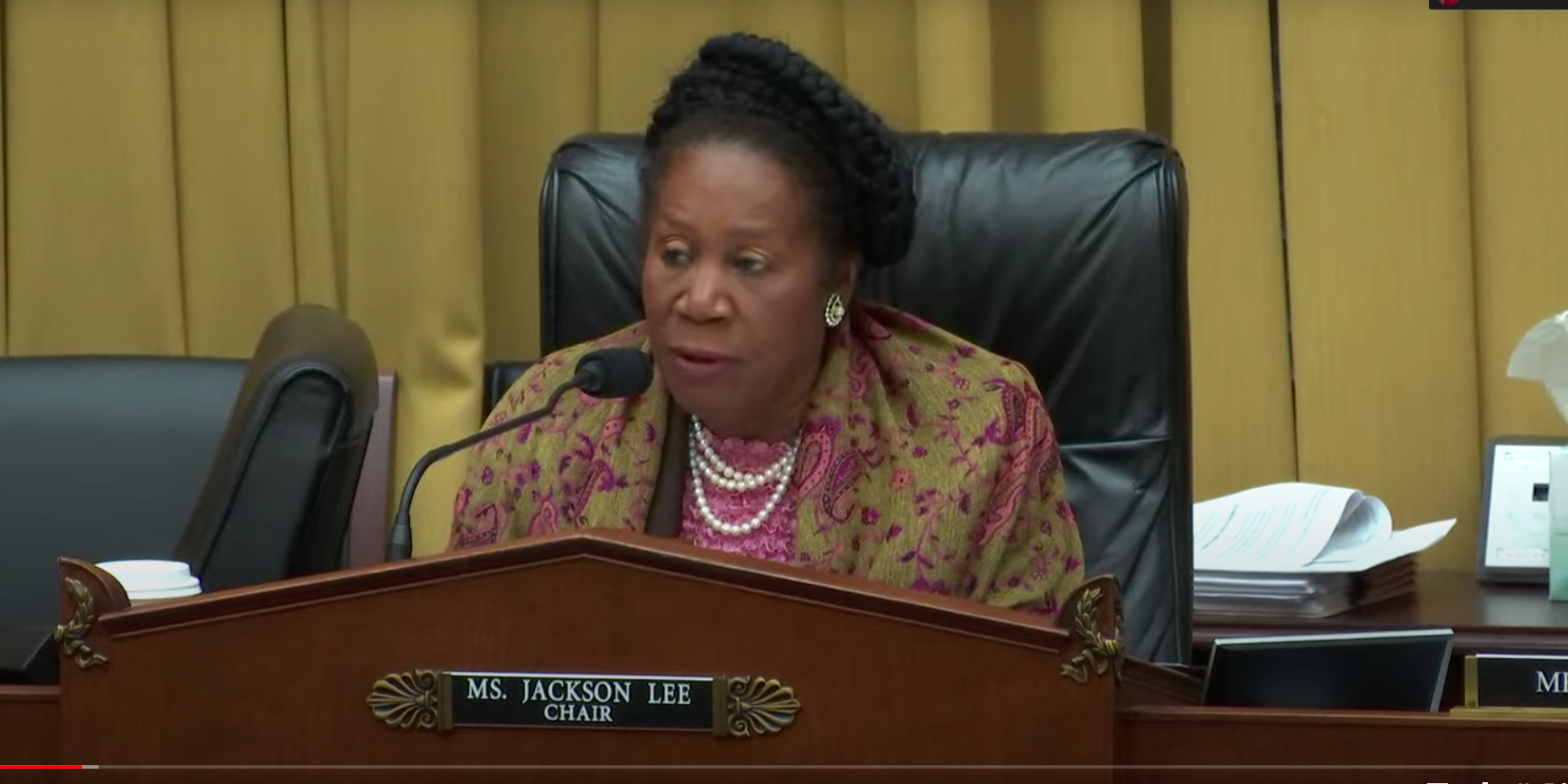 U.S. Rep. Sheila Jackson Lee presides over a hearing and speaks to witnesses.